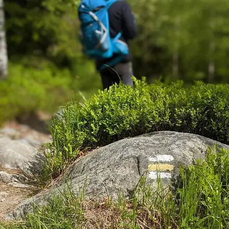 Haje - V Srdci Tatier * Wysokie Tatry