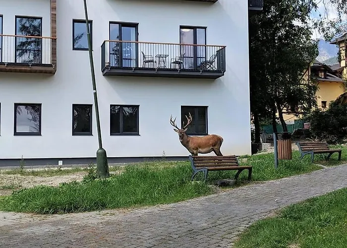 Haje - V Srdci Tatier
